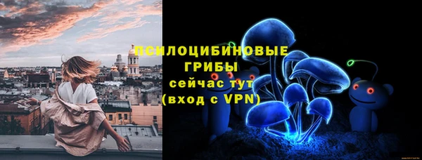 mdpv Арсеньев