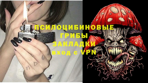 винт Армянск
