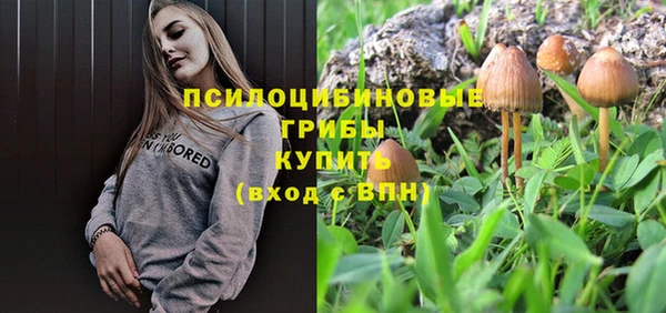 винт Армянск