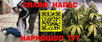дурь Дубна