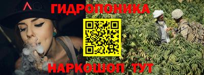 прущие грибы Гусев