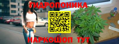 прущие грибы Гусев