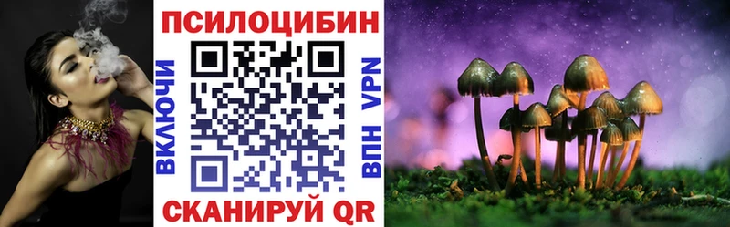 Псилоцибиновые грибы Psilocybine cubensis  купить наркотик  Зима 