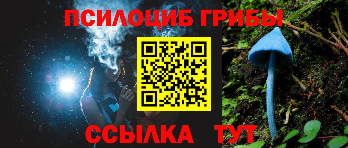 Зима  Псилоцибиновые грибы Magic Shrooms  Вход с VPN  Галлюциногенные грибы мицелий 